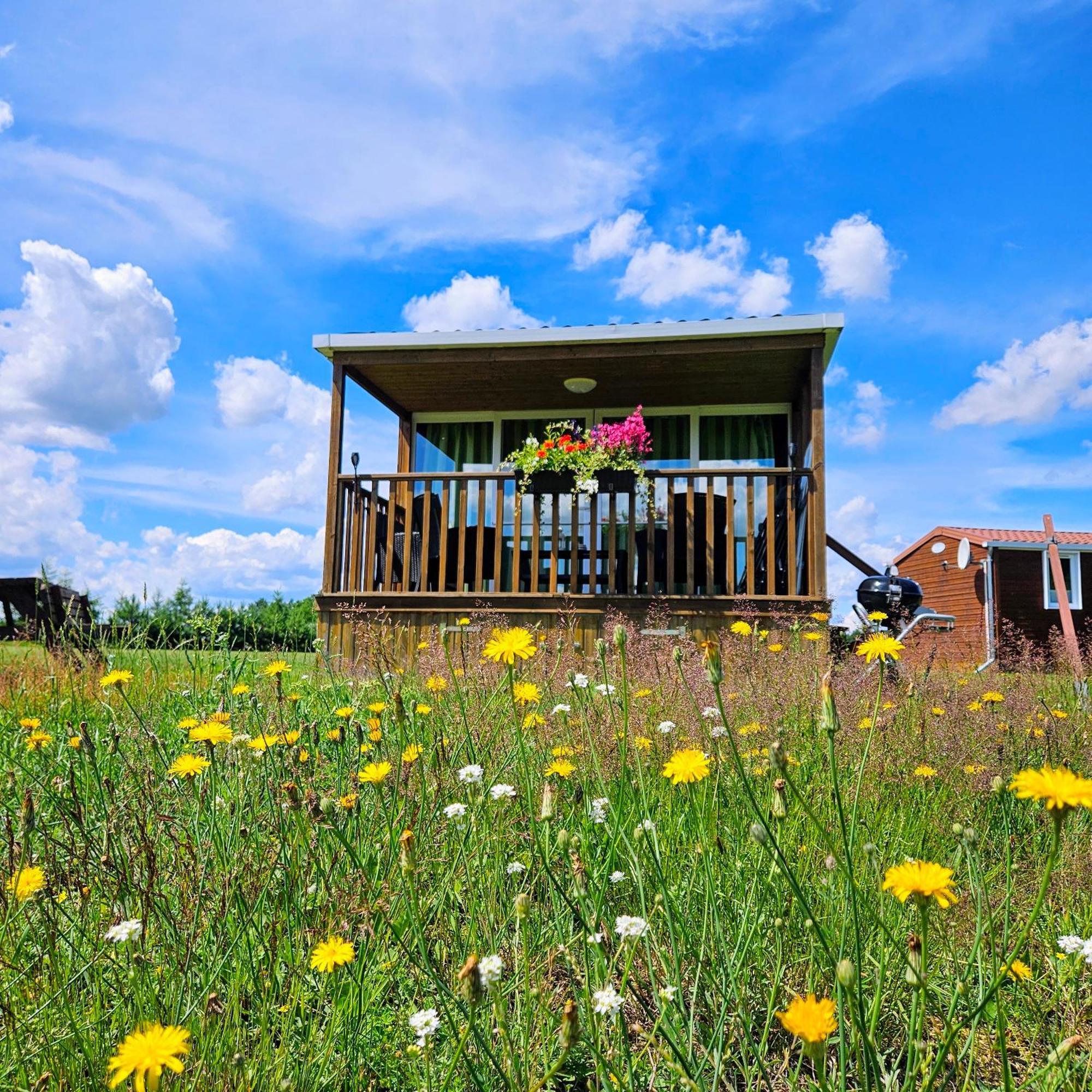 Landgut Voigtsmuehle Hotel Friedland  Exterior photo